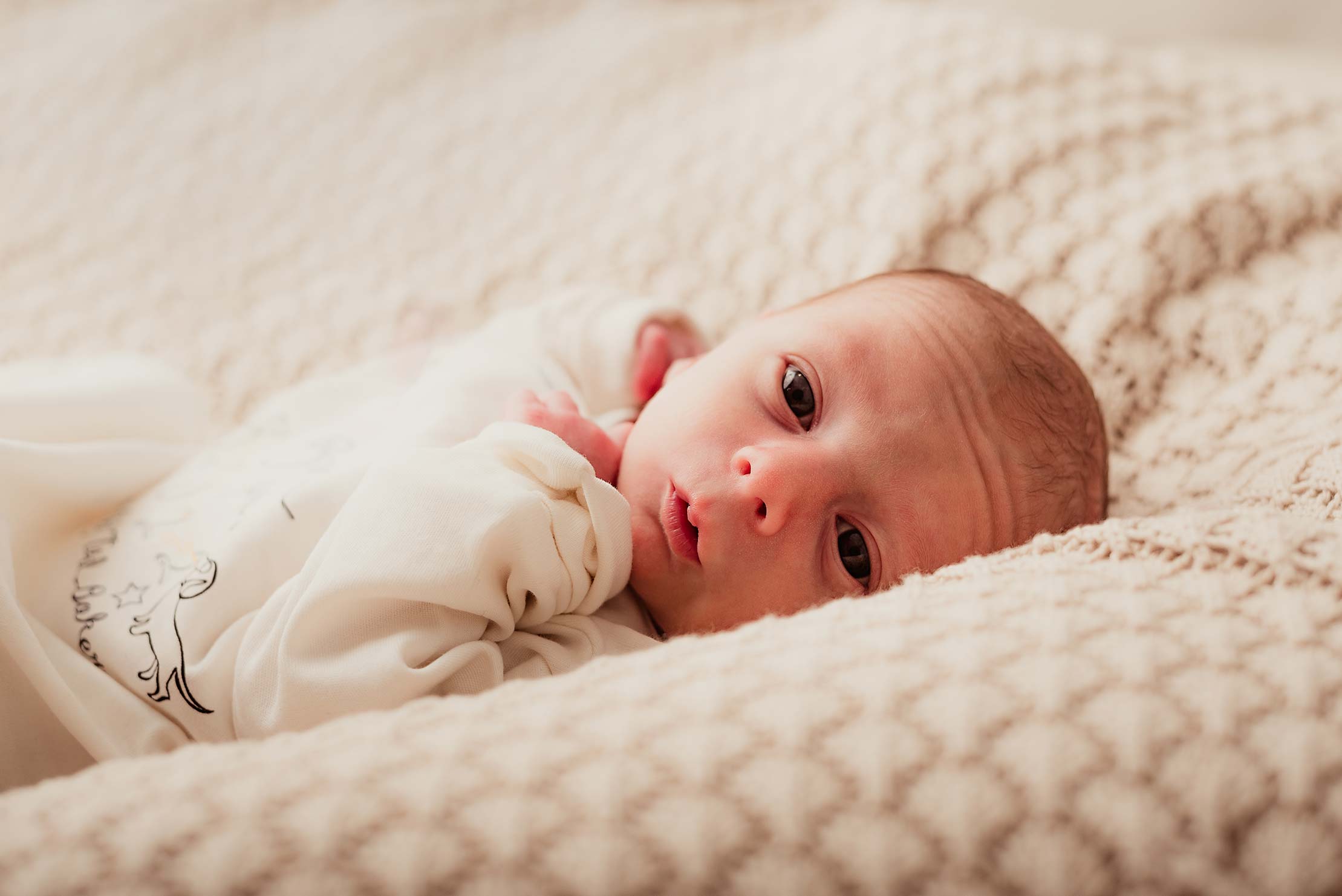 Appleberry studio family children baby newborn headshot christmas photography Bolton Egerton Manchester Altrincham,Published photographer specialising in newborn baby, cake smash and maternity portraiture. Photosession, Lifestyle session, bumb to baby photos, birthday photoshoot, school photo, special moments, photoshoot, online gallery, CakeSmash baby photoshoot studio bolton egerton north west baby photoshoot, family photoshoot manchester, photo studio, appleberry studio, baby photography, professional photographer, baby photographer, colorful , baby, babies, studio, first year, watch me grow, sitter, toddler, siblings, family, family photographer, family portrait, newborn photography, manchester, lancashire, manchester baby photographer, cute baby, salford, altrincham, hale, bury asthon, trafford, sale, hale, wilmslow, cake smash, birthday, photoshoot, newborn, just born, baby birthday, fine art, christmas